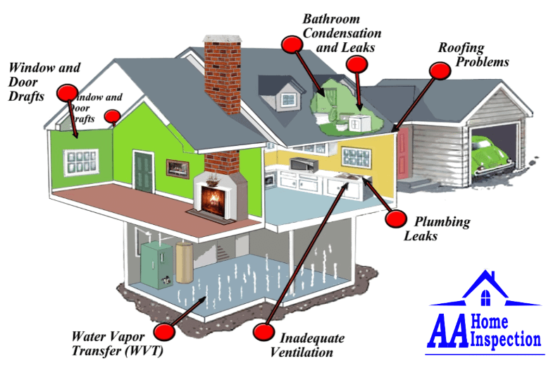 mold-inspection-company-northern-ky